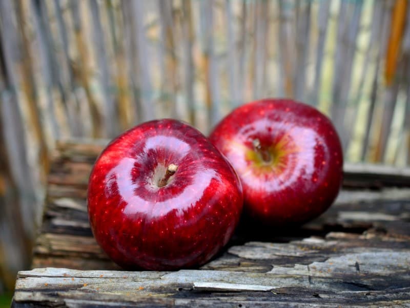 تصویر 2 از سیب قرمز رنگ سمیرم مجلسی و ارگانیک